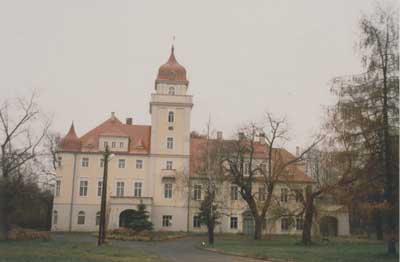 zdjęcie okładki Pałac w Dąbrówce Górnej