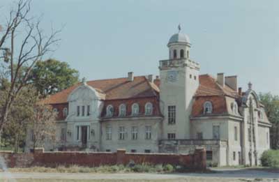 zdjęcie okładki Pałac we Wronowie