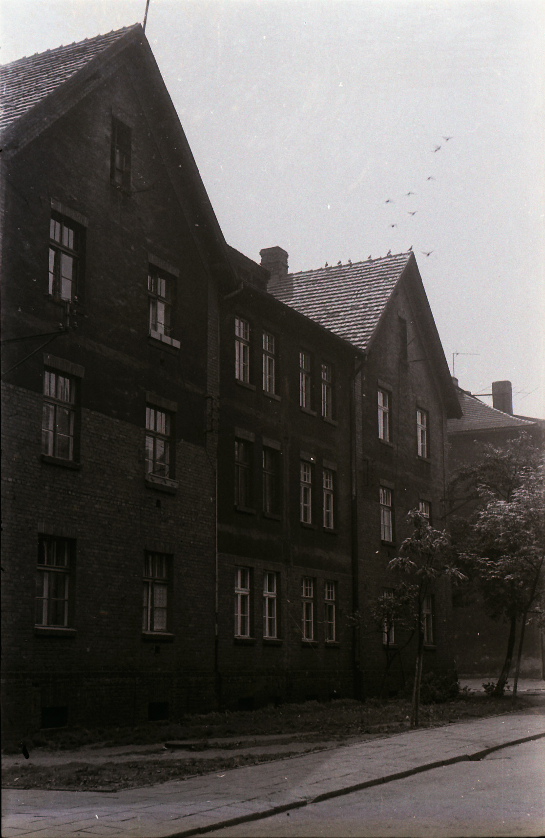 zdjęcie okładki [Nowaka 4]