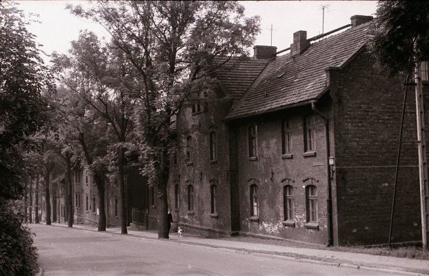 zdjęcie okładki [Curie Skłodowskiej 5]