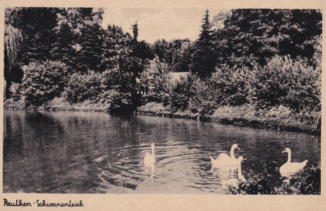 zdjęcie okładki Bytom - Schusanenleich